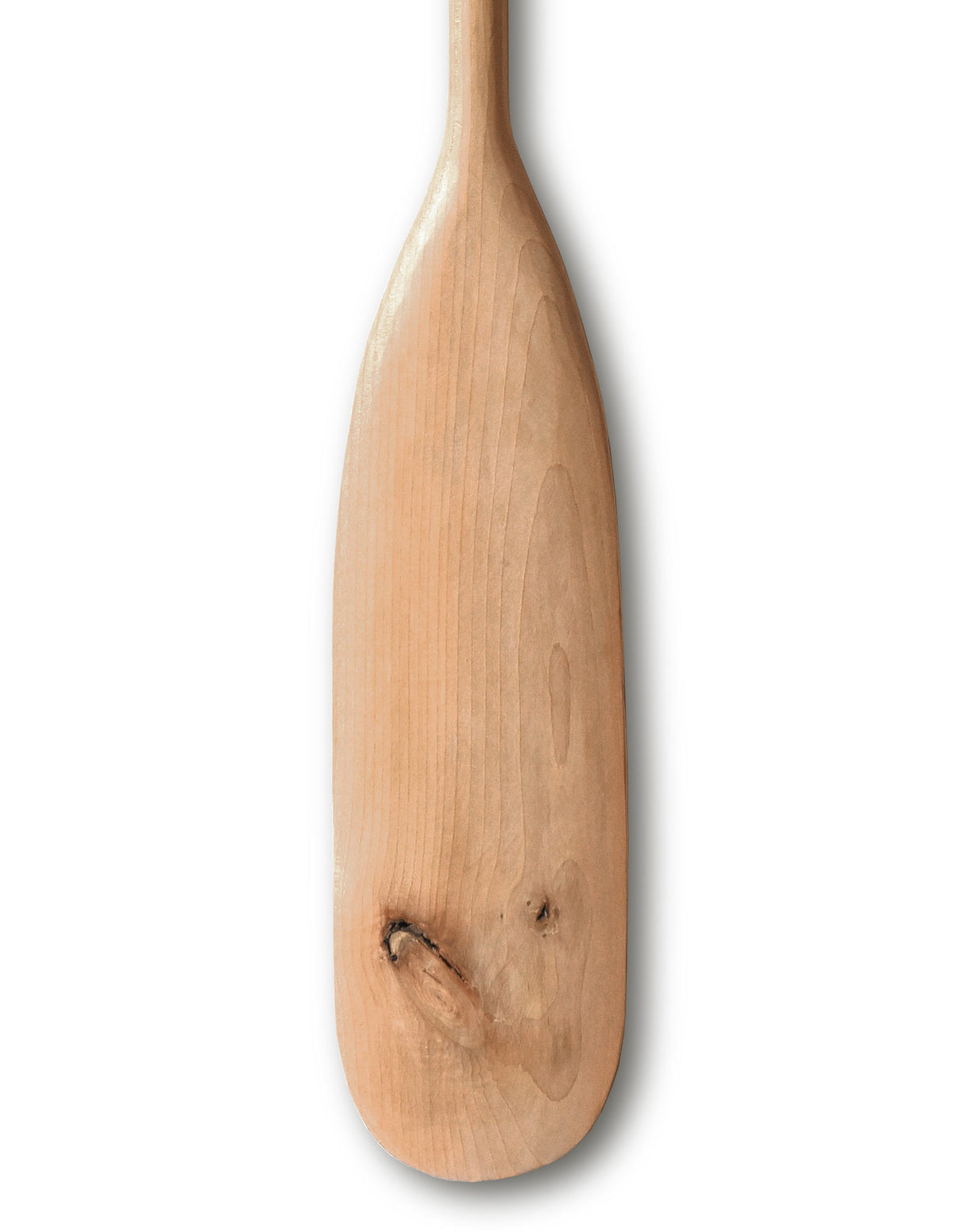 Remo de Paleta Curva