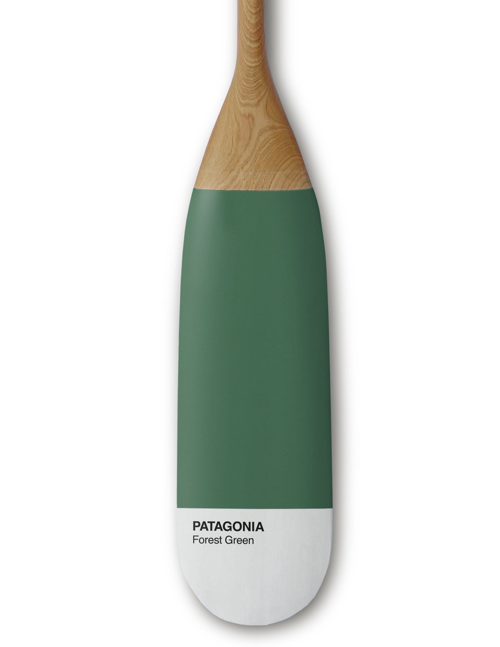 Patagonia Verde Bosque